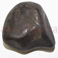 Shaligram 10755 50gm